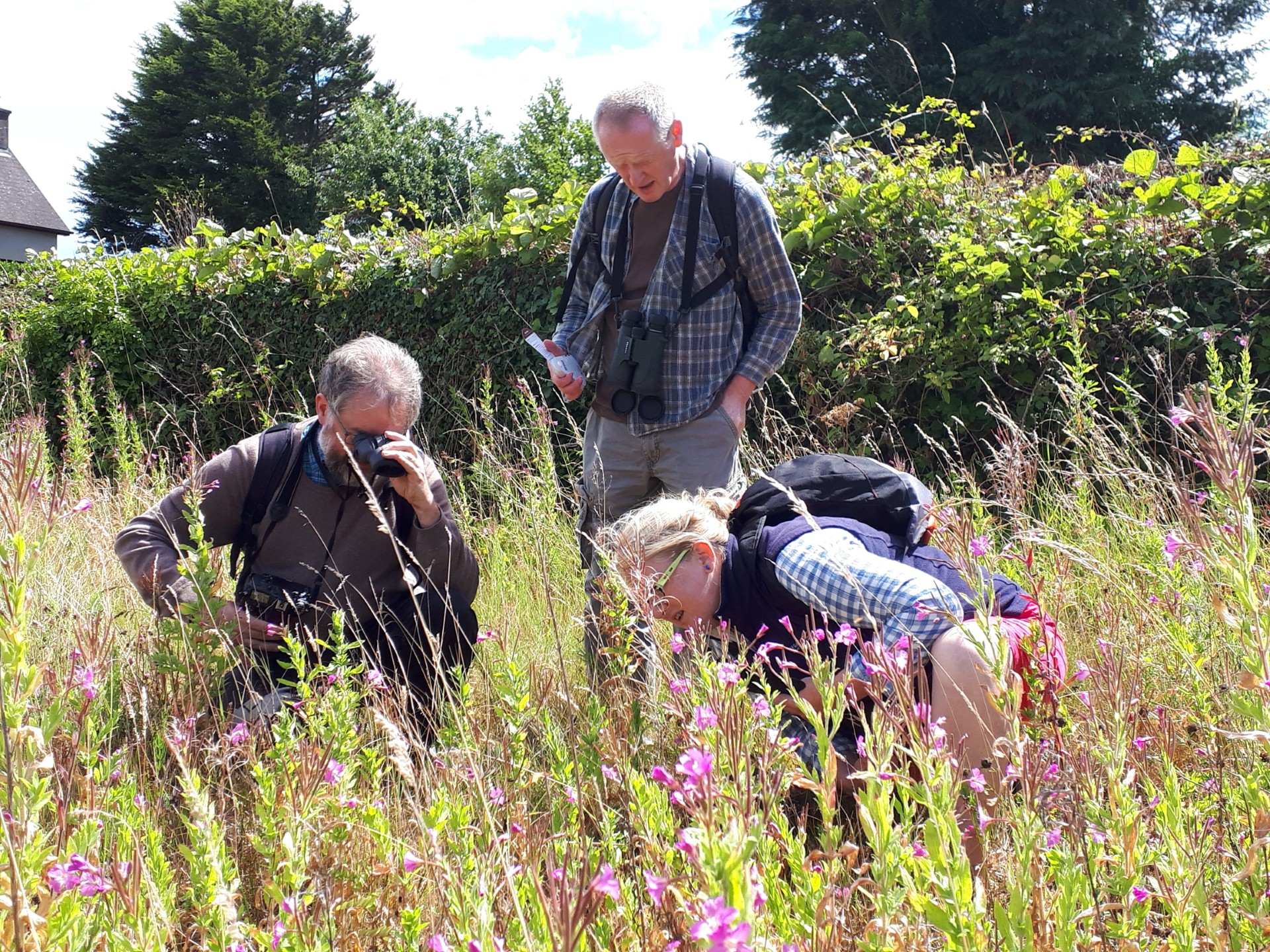 Gardening for Biodiversity webinar