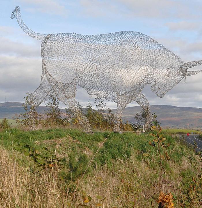 Micheal-McKeown-An-Tarbh-Donn-image-Image-2-1