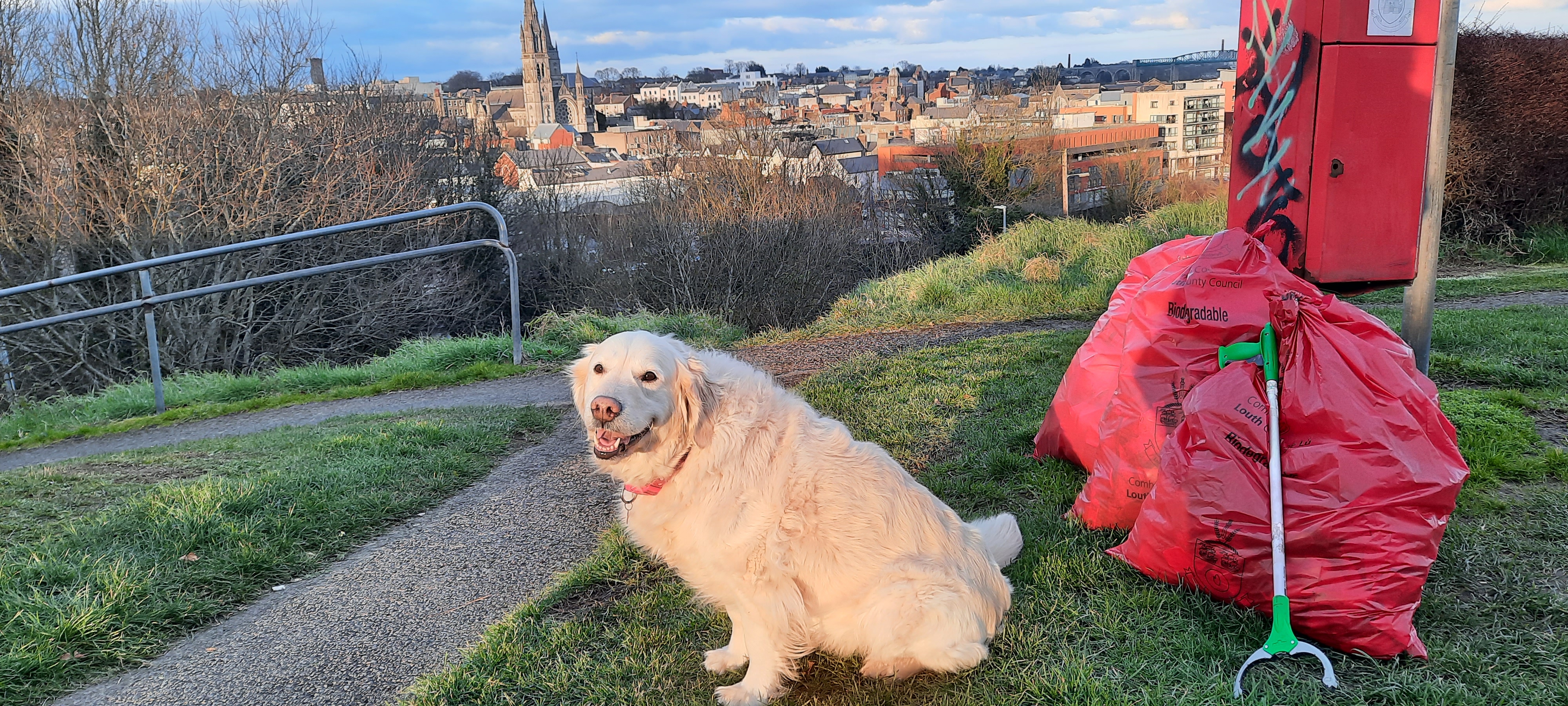 aine-from-cocacola-dog-photo aine-from-cocacola-dog-photo