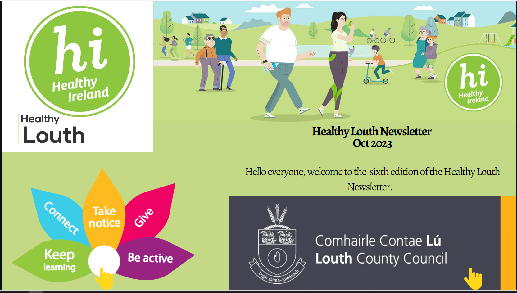 Healthy-ireland-6th-cover Healthy-ireland-6th-cover