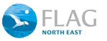 Flag North East logo small