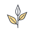 custom-icon